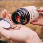 Chaganela extrakt z houby Reishi v kapslích