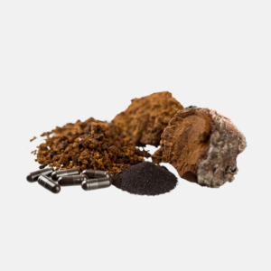 chaganela-extrakt-ze-sibirske-cagy-100g2