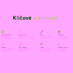 Skinners ponožkoboty pro dospělé Comfort 2.0 Marine