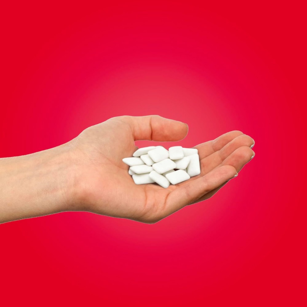 Pür žvýkačky s xylitolem Cinnamon