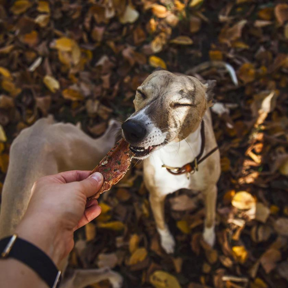 Pet Farm Family Krůta Moriak sušený stejk