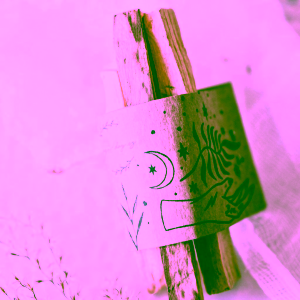 yoga-day-palo-santo-1