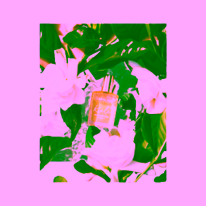Leahlani Kiele – 3