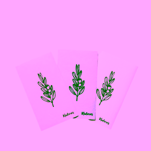 Mulieres-sada-pratelnych-univerzalnich-hadriku (1)