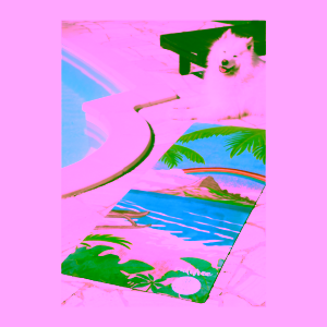 korkie-cukrfree-maui-jogamatka