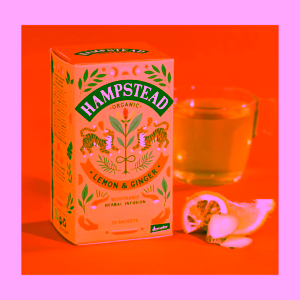 Hampstead-Tea-London-BIO-citron-a-zazvor (1)