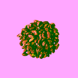 sufan-pistacie-jadra-prazena-500g-novy2