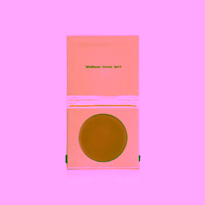 Eco by Sonya Zapečený minerální bronzer