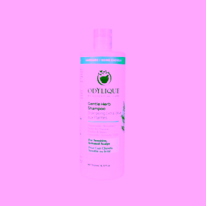 Odylique Gentle Herb jemný bylinkový šampon pro všechny typy vlasů