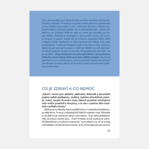 umeni-nemoci-jan-vojacek4