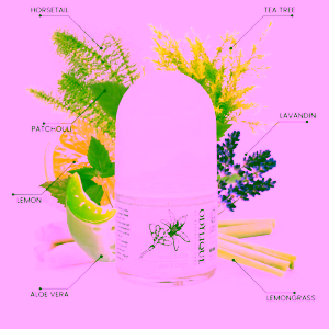Odylique-prirodni-kulickovy-deodorant-s-aloe-vera-a-vuni-citrusu-2