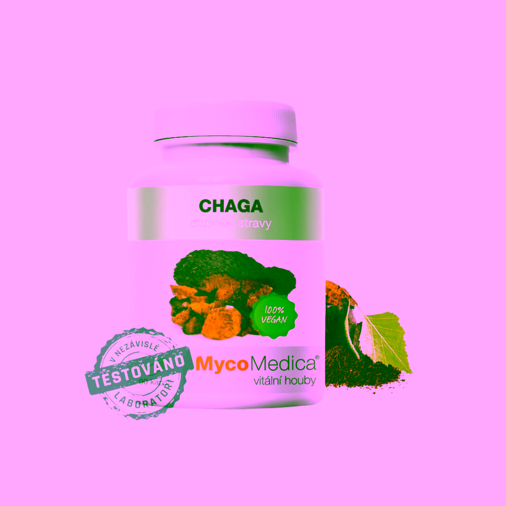 MycoMedica Chaga