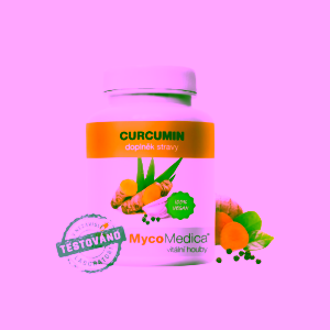 MycoMedica Curcumin