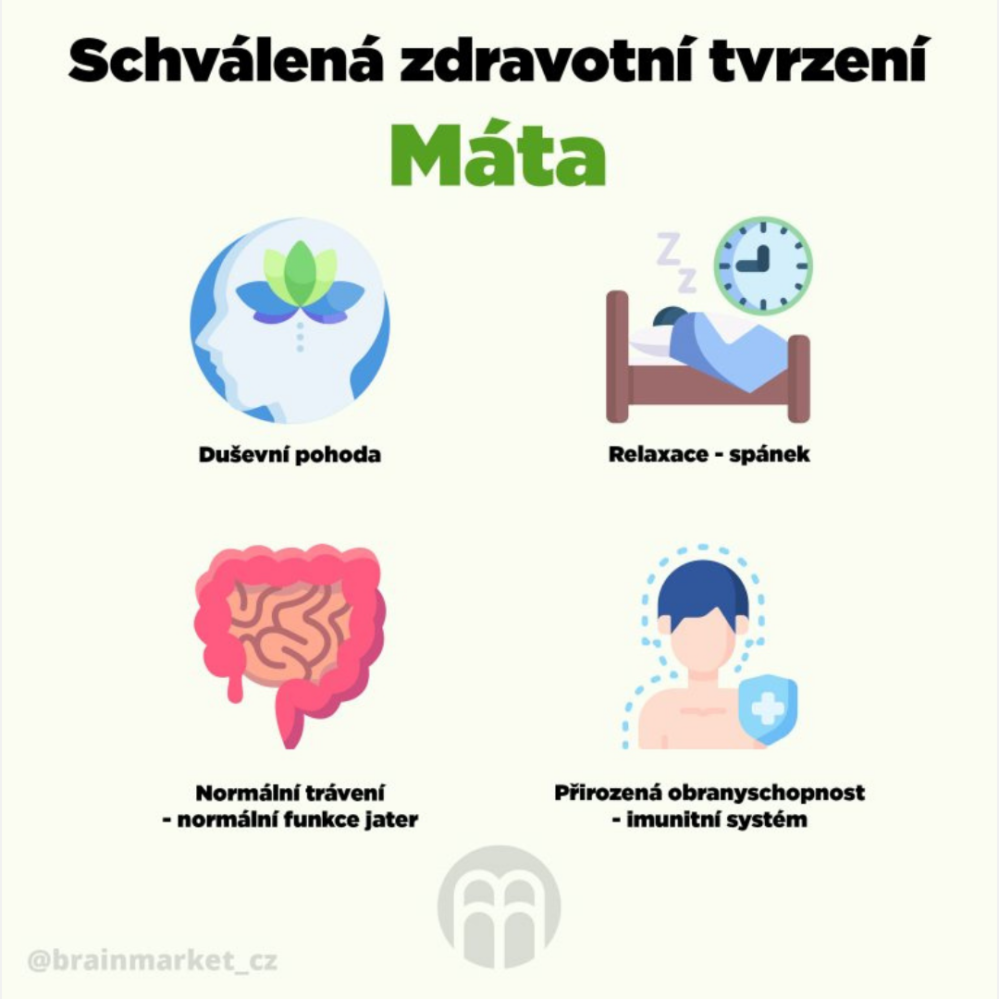 BrainMax Digestive Magic trávicí enzymy