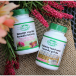 Organika Benedikt lékařský + Pískavice řecké seno výhodné balení