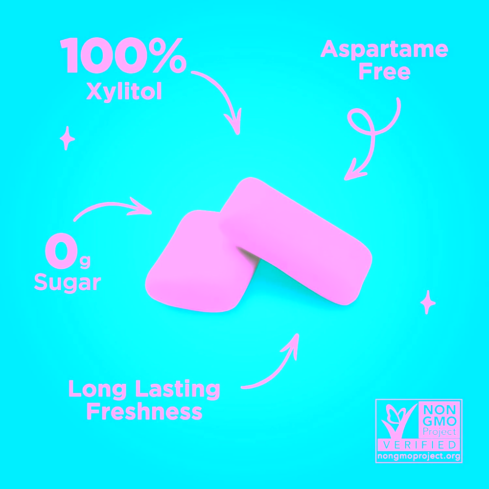 Pür žvýkačky s xylitolem Wintergreen