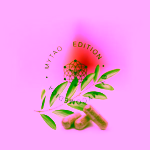 MycoMedica MyFire