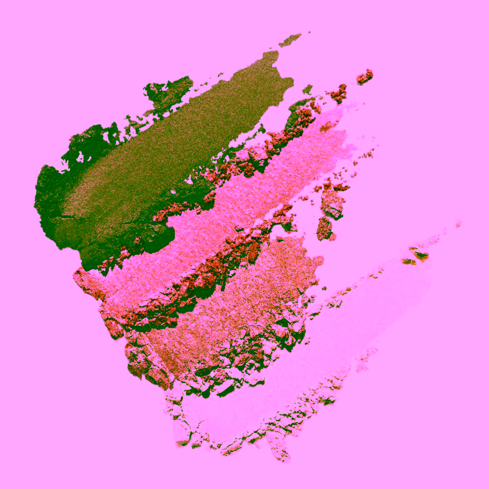 Nui Cosmetics Paletka přírodních vysoce pigmentovaných kompaktních stínů