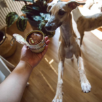 Pet Farm Family Divá sviňa konzerva pro psy