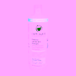Odylique Prebiotic Gentle Herb prebiotický šampon