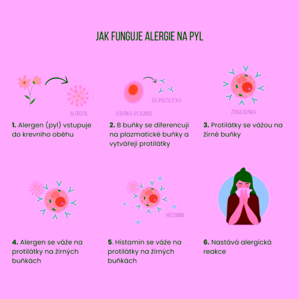 BrainMax Allergy support Alergie a dýchací cesty