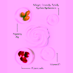 Alchemix Laboratory zNova Luxusní regenerační well-aging krém