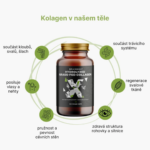 BrainMax Hydrolyzovaný GrassFed Collagen kolagen z krav krmených trávou 600 mg