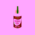 Purity Vision Bio Růžová voda
