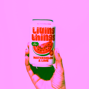 living-things-watermelon-&-lime-330ml-1