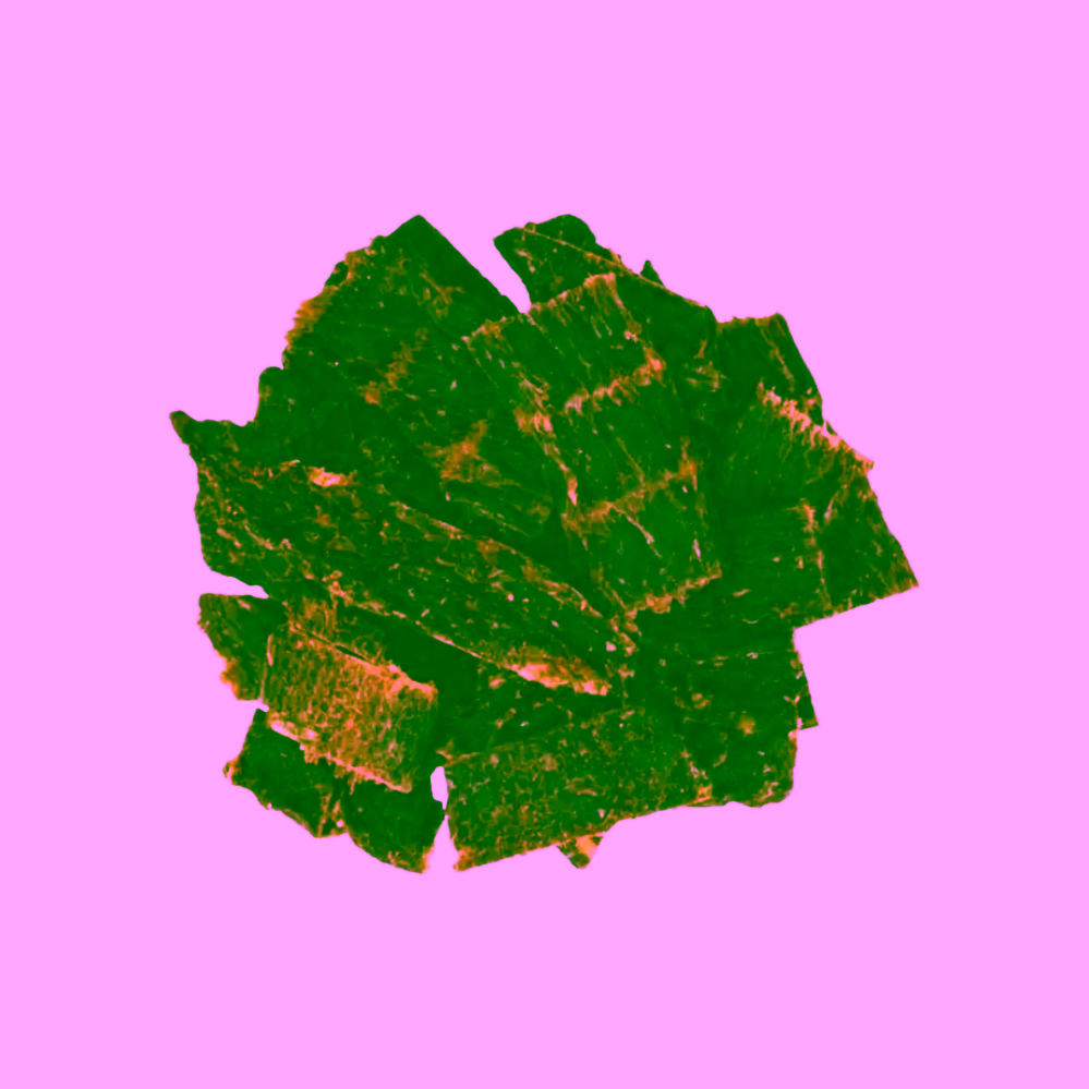 Květomluva Beef Jerky BIO hovězí jablečný mošt
