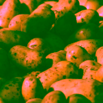 Pufston's Potato Chips Chipsy Solené